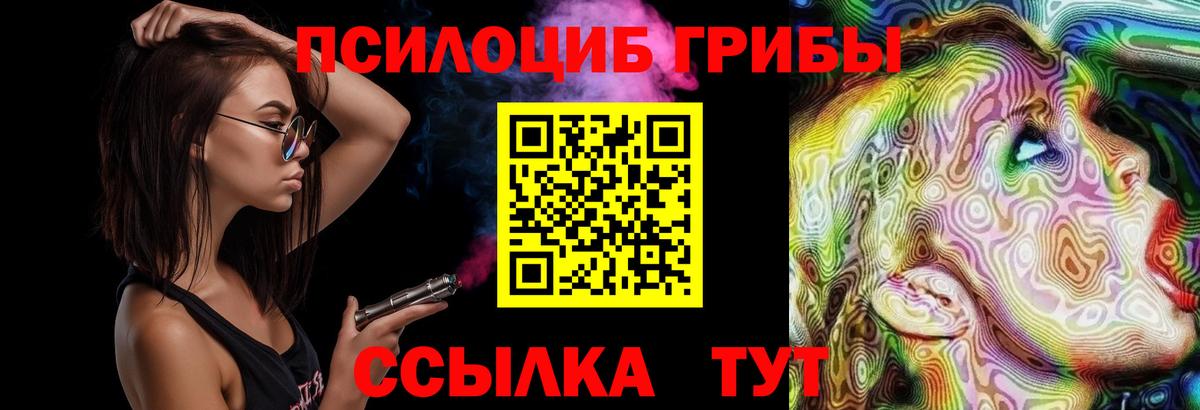 Ярославль  Галлюциногенные грибы ЛСД  Вход с VPN 