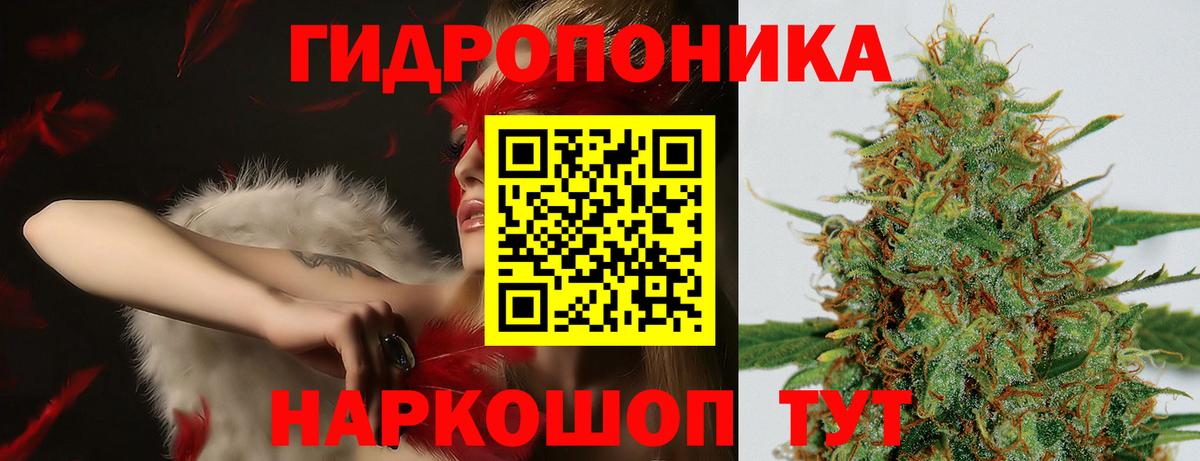 Ярославль  Бошки марихуана планчик  МАРИХУАНА сатива  Вход с VPN 